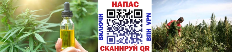 где купить наркотик  МЕГА зеркало  Cannafood конопля  Севск 