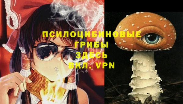 соль ск Покровск