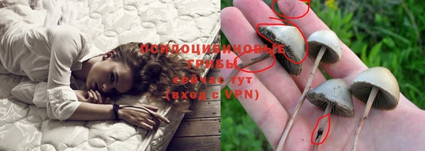 соль курить ск Елизово