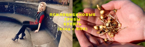 соль ск Покровск