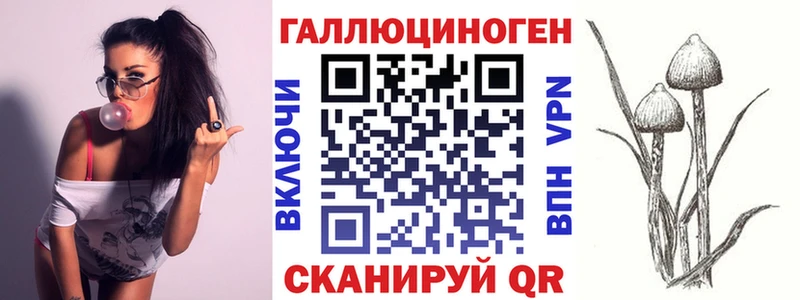 где купить наркоту OMG сайт Псилоцибиновые грибы GOLDEN TEACHER Севск