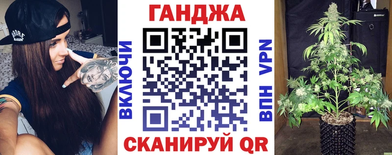 Бошки Шишки планчик  Севск 